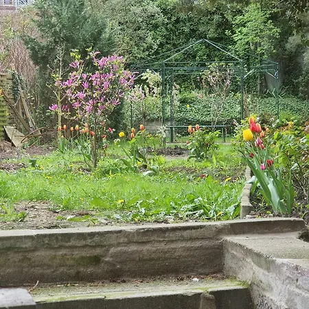 Monteurswohnung, In Apartment Rostock